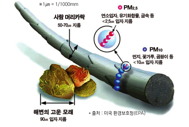 미세먼지의 성분
